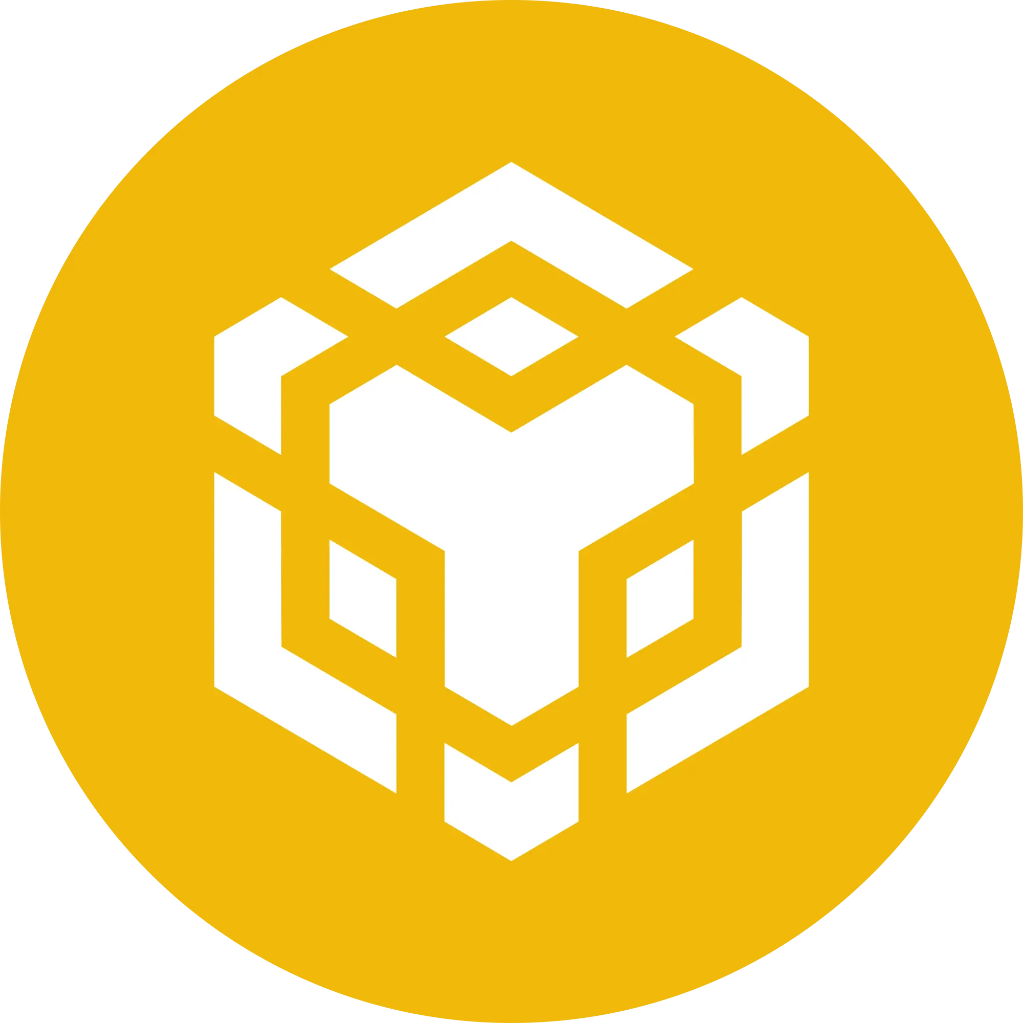 Binance Coin (BNB)
